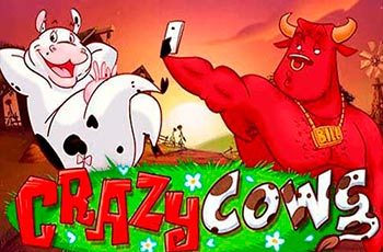 Crazy Cows