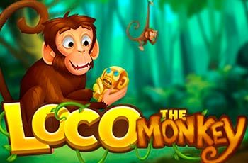 Loco the Monkey